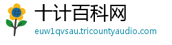 十计百科网